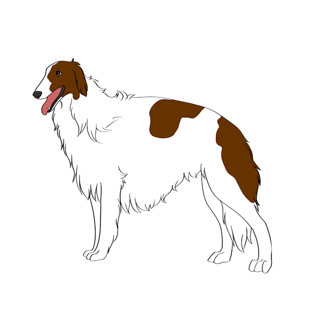 Borzoi by Adastumae