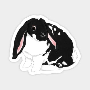 Bunji Lop Broken Black Rabbit Magnet