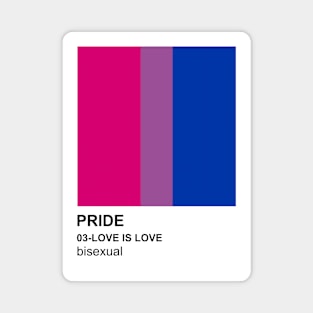 Pride Bisexual Magnet