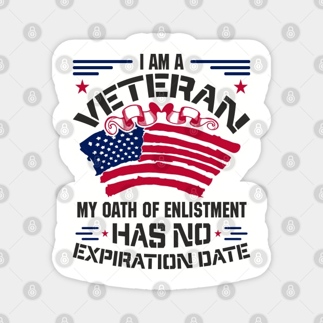 Veteran Oath of Enlistment USA Military Pride Magnet by Anticorporati