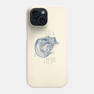 Face Muscular Diagram - Vintage Anatomy Print Phone Case