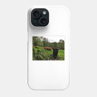 Scottish Highland Cattle Cows and Bull 2412 Phone Case