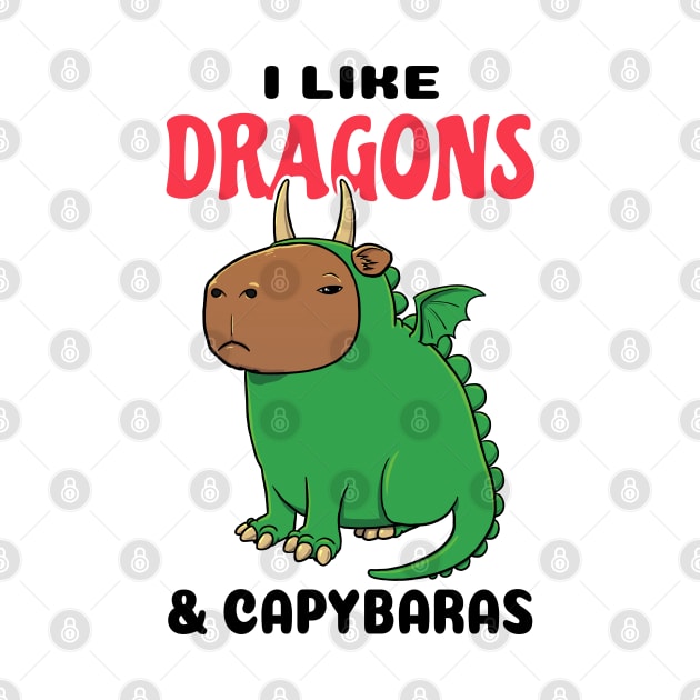 I like Dragons and Capybaras by capydays