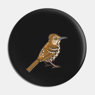 Brown Thrasher Pin