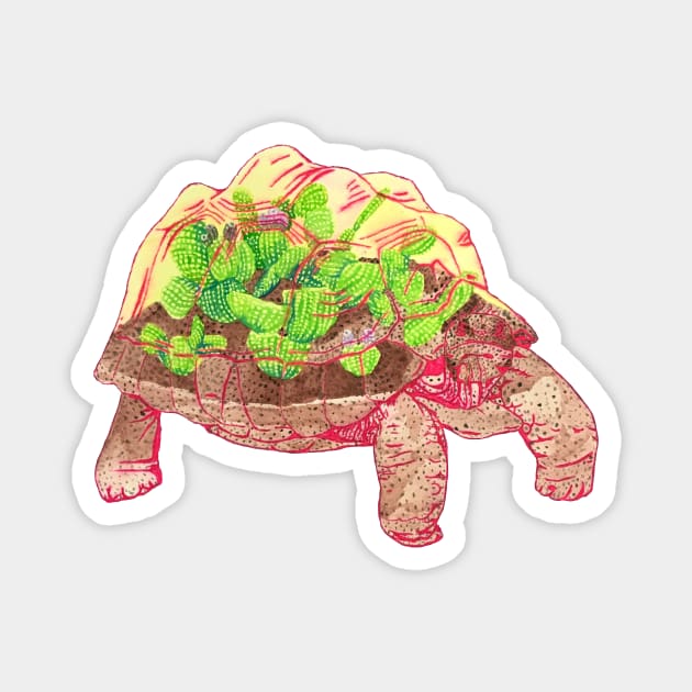 Tortoise Terrarium Magnet by RaLiz