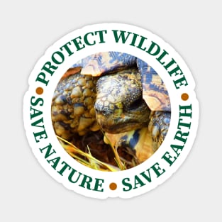 Wildlife Conservation Earth Day Tortoise Magnet