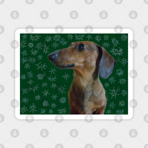 Dachshund Snow Magnet by DebiCady