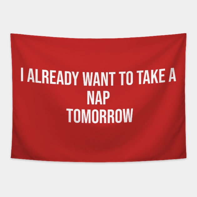 Funny Nap Tapestry by Wordify