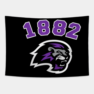 Paine 1882 College Apparel Tapestry