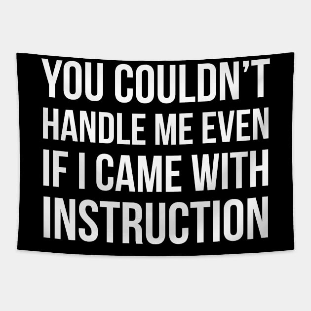 You Couldn't Handle Me Even If I Came With Instruction Tapestry by evokearo