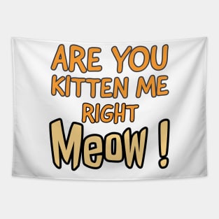 Are you kitten me right meow Tapestry