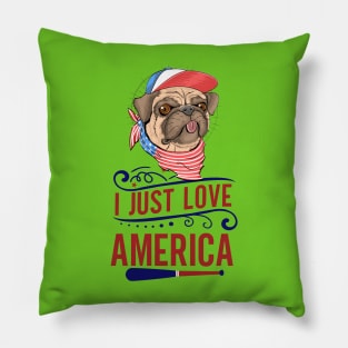 america Pillow