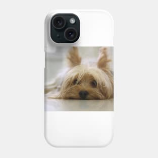 Yorkshire Terrier Laying Flat Phone Case