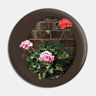 Pink and Red Geraniums Against Brick Pin