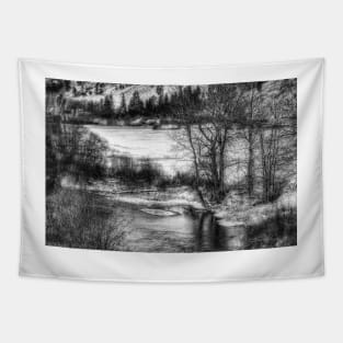 Down By The Waters Edge  - Black And White Tapestry