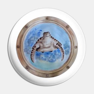 sea turtle behind the window Pin