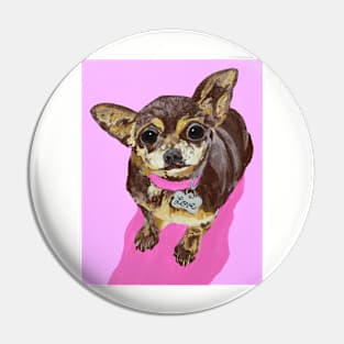 Brownie the Chihuahua Pin