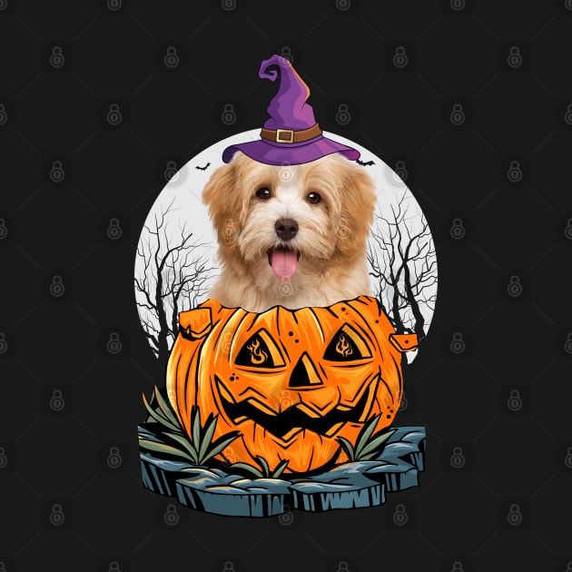 Havanese Halloween Dog Shirt With Witch Hat Pumpkin Funny Gift by CoolTees