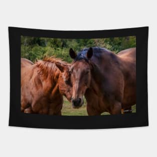 Horse Play Tapestry