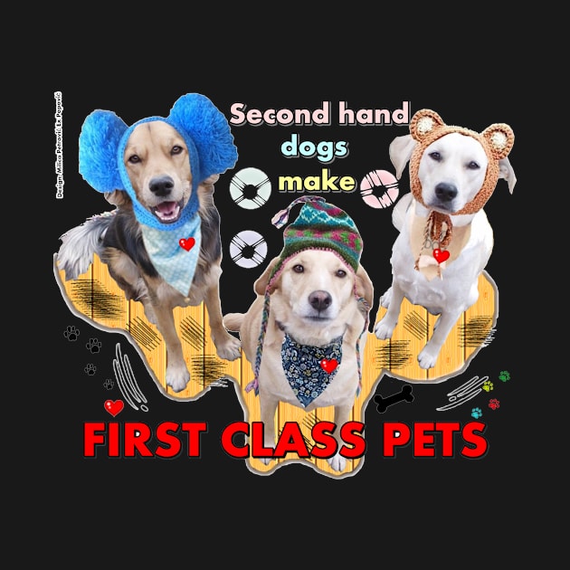 First Class Pets by milicapetroviccvetkovic