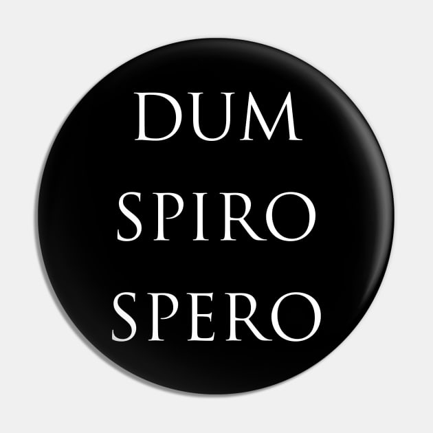 Dum Spiro Spero Latin Quote Pin by Scar