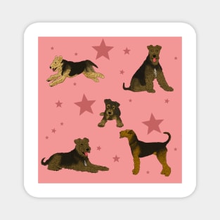 Airedale Terriers Pattern Stars Pink Magnet