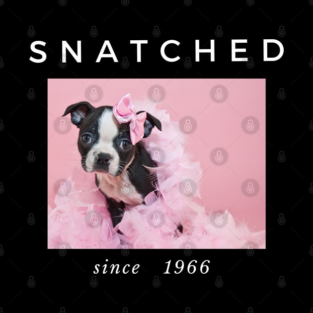 1966 Millennial Snatched Boston Terrier Dog Lover by familycuteycom