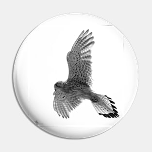 Kestrel in flight Pin