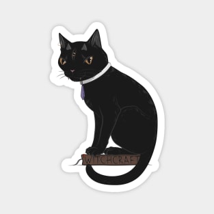 Three-Eyed Black Cat Learning Witchcraft Magnet