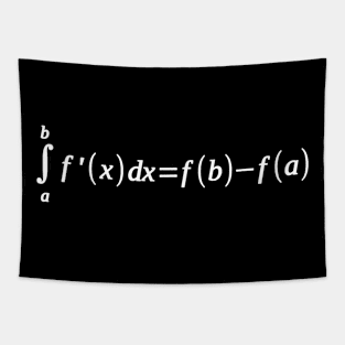 Fundamental Theorem Of Calculus T-Shirt Math Teacher Newton Tapestry