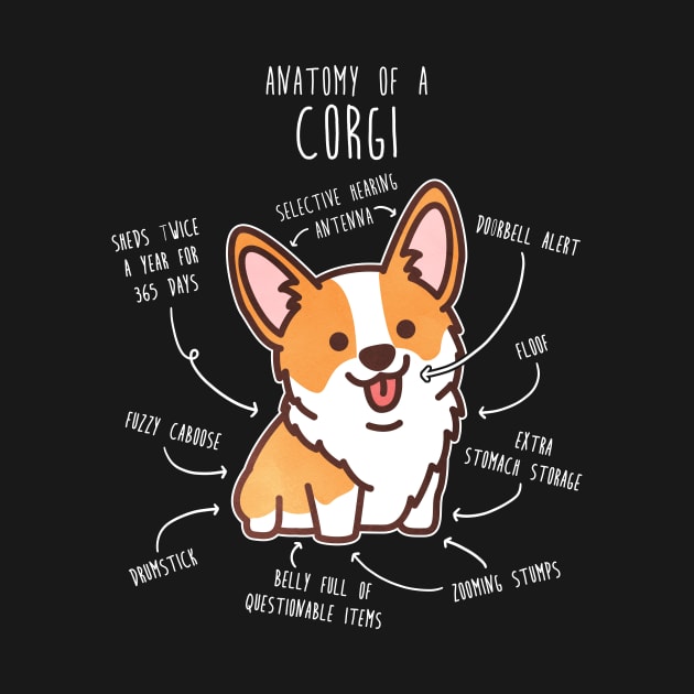 Corgi Dog Anatomy by Psitta