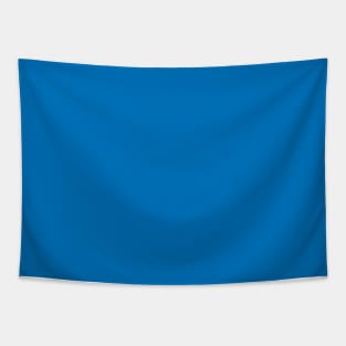 French Blue Solid Color Tapestry