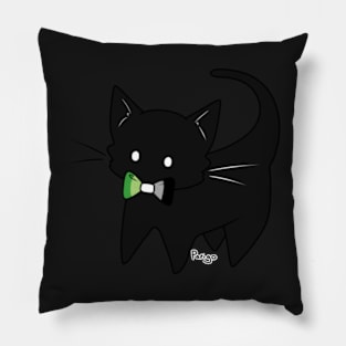 Aro Pride Kitty Pillow