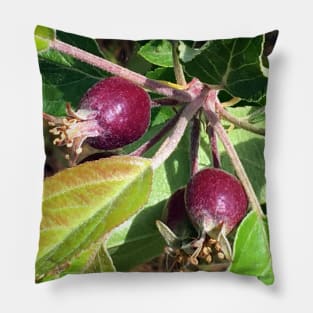 Budding Fruit Pillow