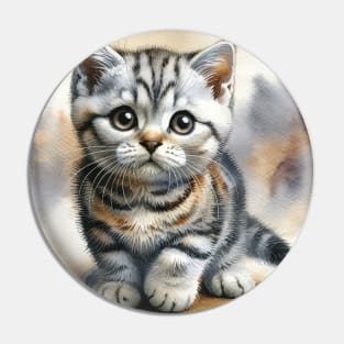 American Wirehair Watercolor Kitten - Cute Kitties Pin