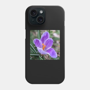 Purple, White and Orange Flower 5 Phone Case