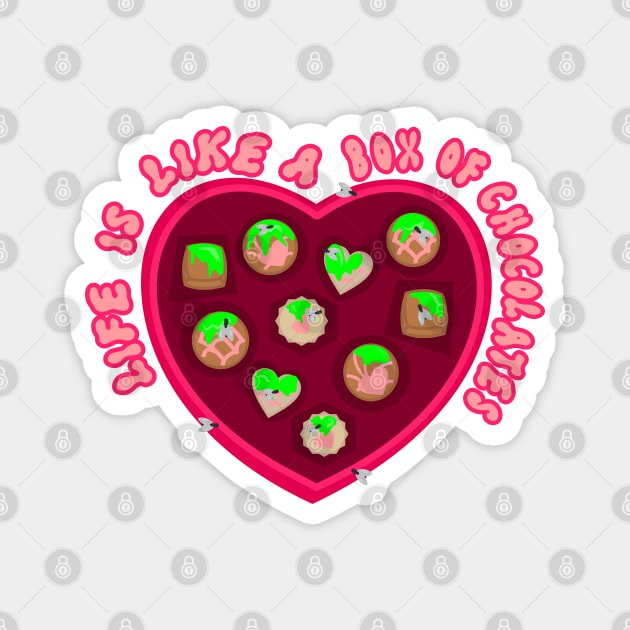 Box of chocolates Magnet by Brunaesmanhott0