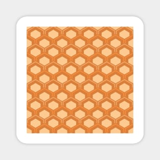 Mid Century Modern Hexagons Magnet