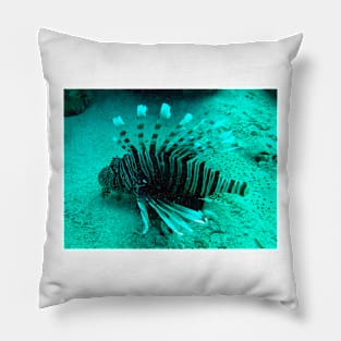 lionfish Pillow