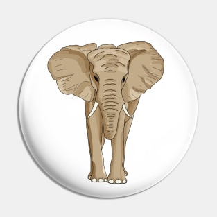 Baby elephant standing show big ear Pin