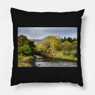 Stepping Stones Pillow