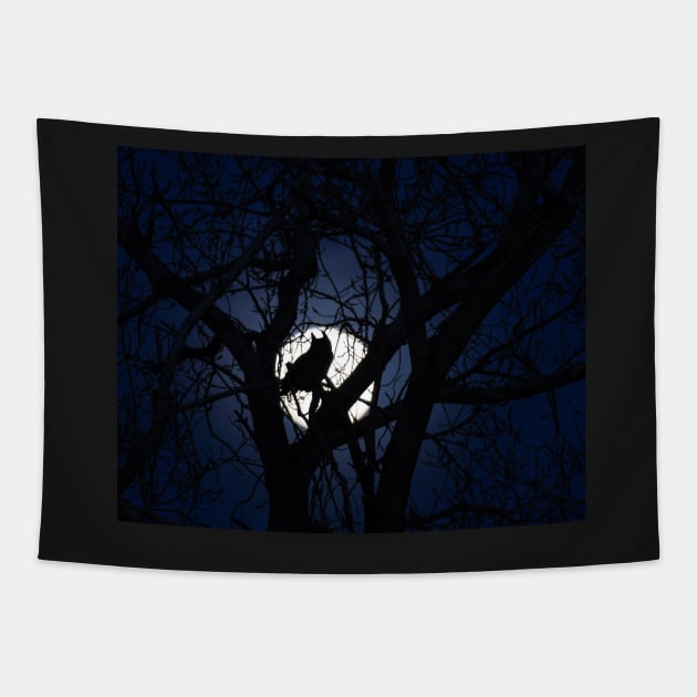 A Great Horned Owl Basks in a Blue Moon Tapestry by jbbarnes