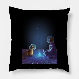 Cat universe Pillow