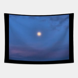 Moonlight Tapestry