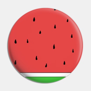 Watermelon pattern Pin