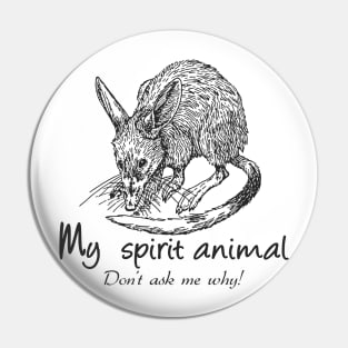 Bandicoot is my spirit animal Pin