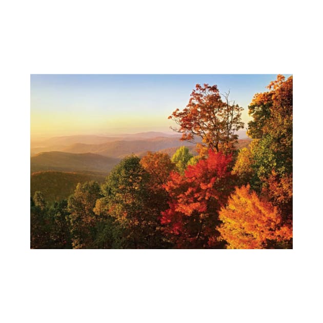 Blue Ridge Mountains From Bluff Mountain Overlook by AinisticGina