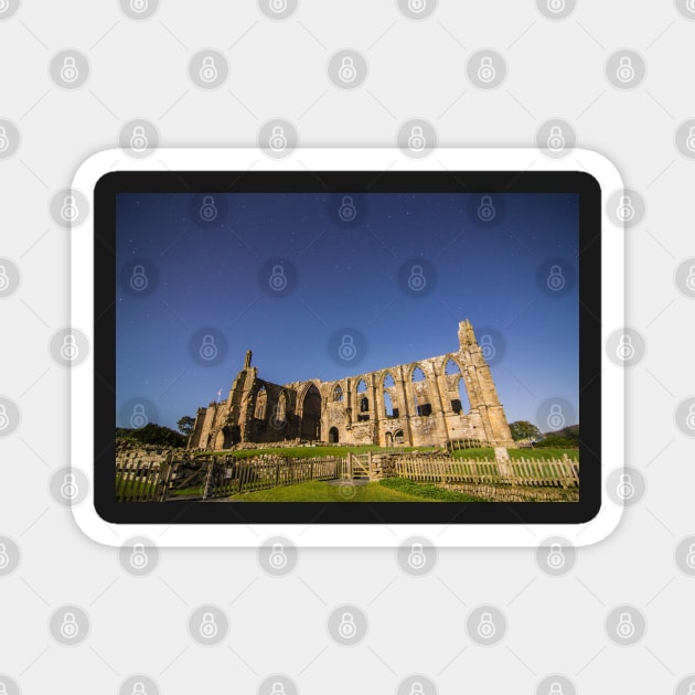 Bolton Abbey at Night IMG 5573 Magnet by Spookydaz