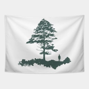 Walk in nature, being outdoors, hiking in pine tree forest Tapestry