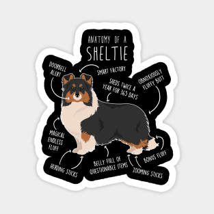 Tri Color Sheltie Shetland Sheepdog Anatomy Magnet